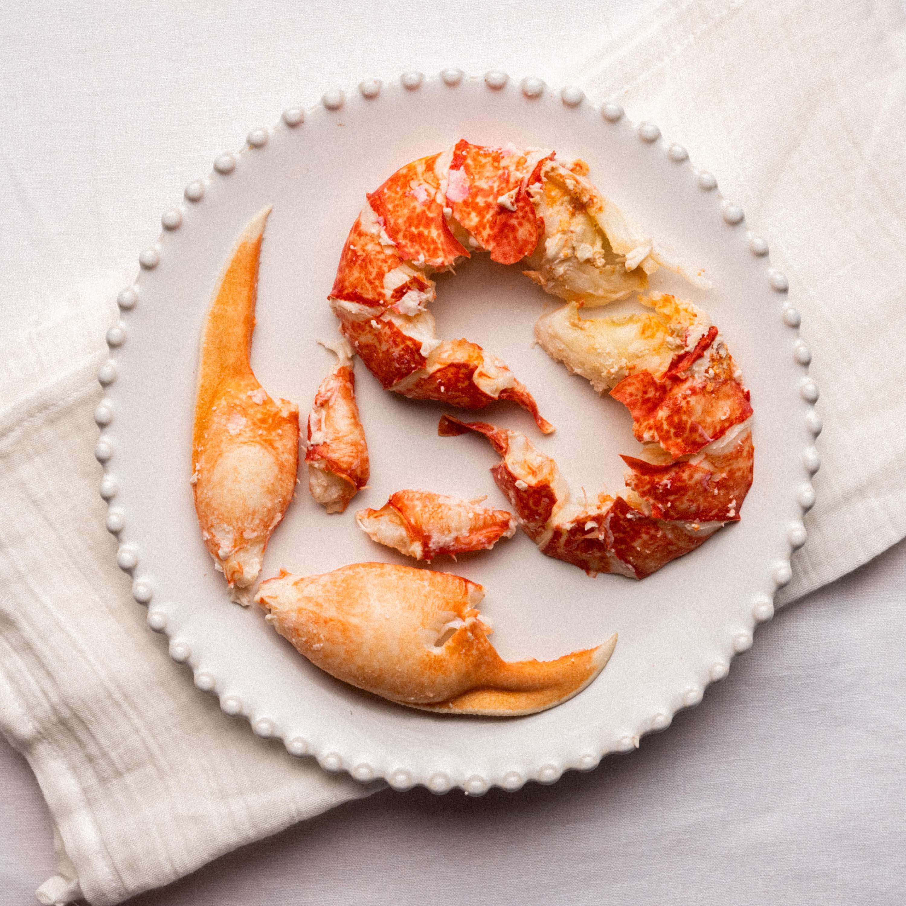Canned sale lobster meat